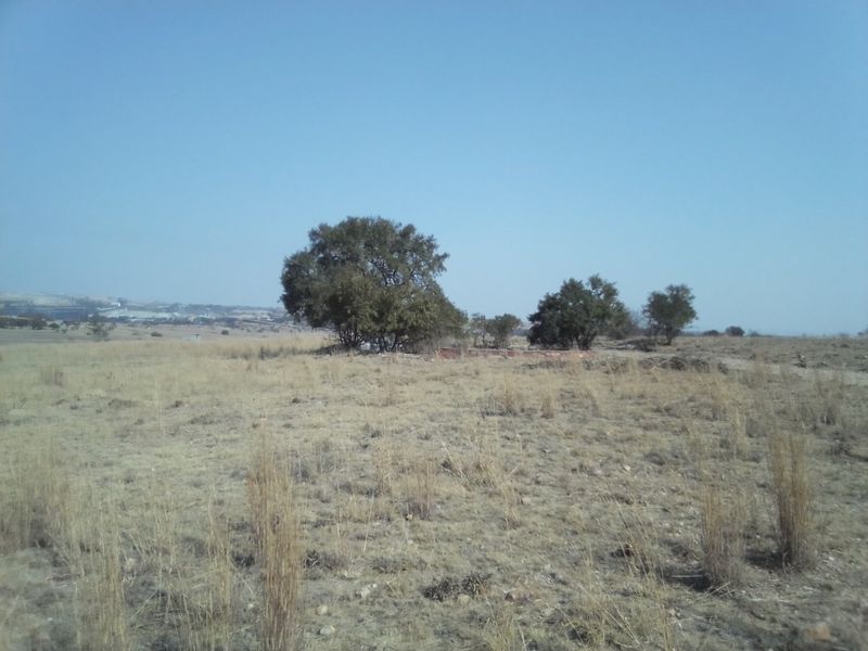 22 HECTARES VACANT LAND FOR RENTAL - Photo 10