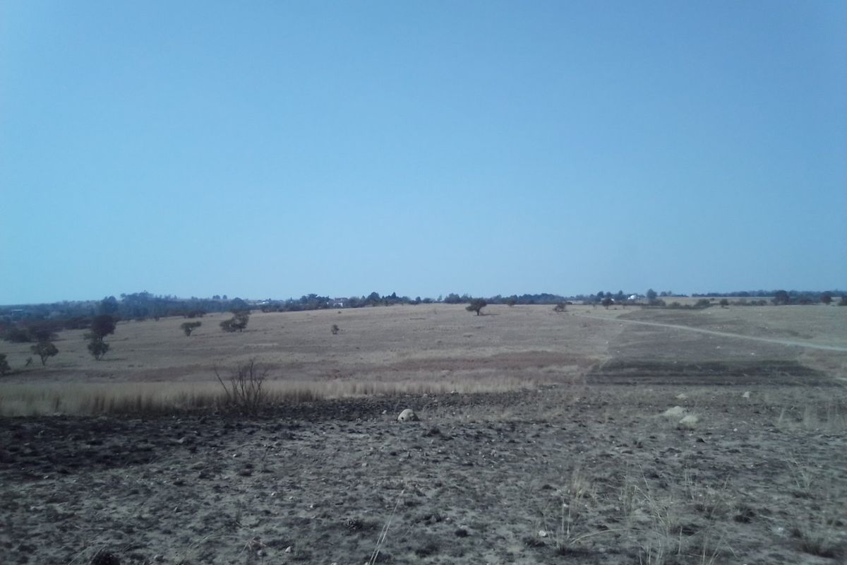 22 HECTARES VACANT LAND FOR RENTAL - Photo 2
