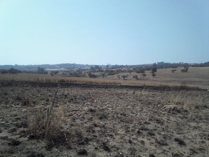 22 HECTARES VACANT LAND FOR RENTAL - Photo 7