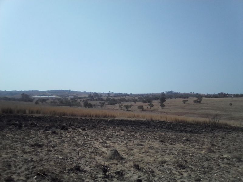 22 HECTARES VACANT LAND FOR RENTAL - Photo 6