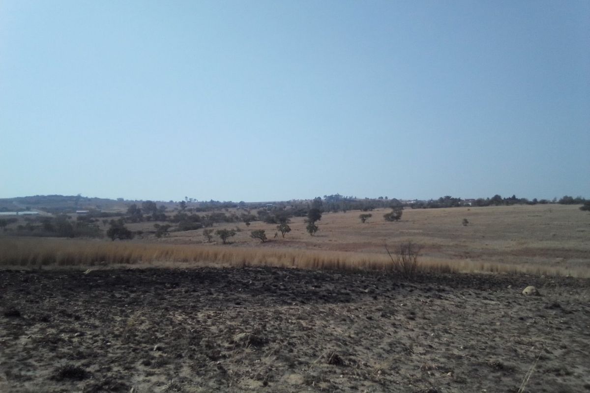 22 HECTARES VACANT LAND FOR RENTAL - Photo 4