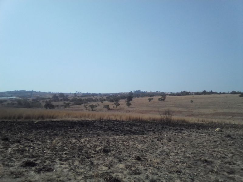 22 HECTARES VACANT LAND FOR RENTAL - Photo 4