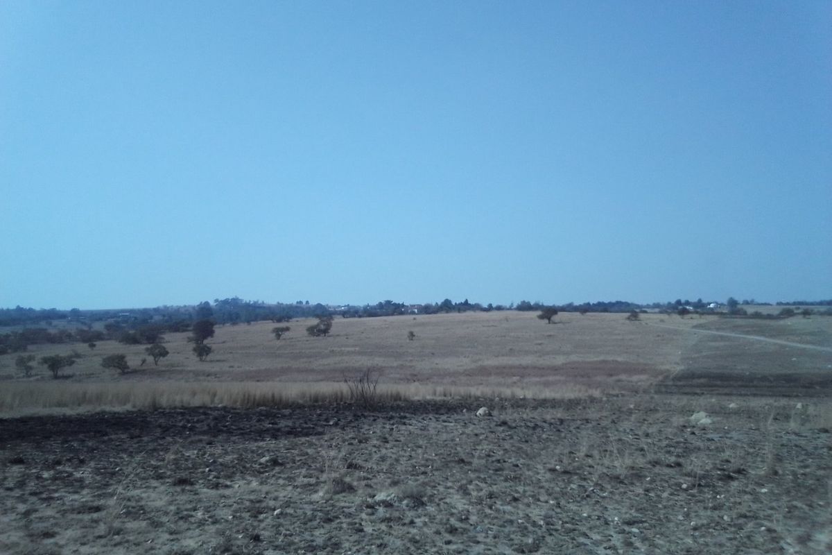22 HECTARES VACANT LAND FOR RENTAL - Photo 5