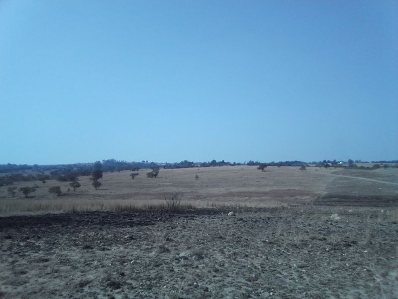 22 HECTARES VACANT LAND FOR RENTAL - Photo 5