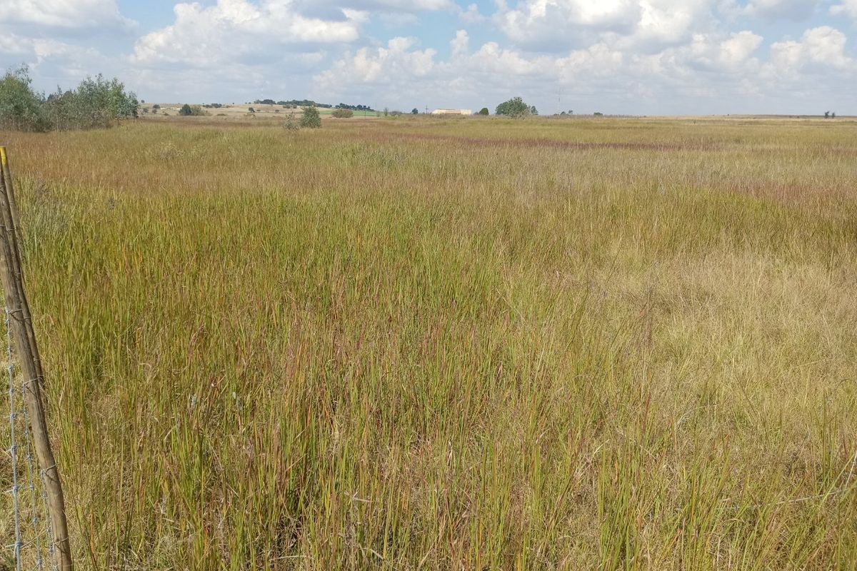 Farm available for sale at Bronkhorstspruit.  - Photo 4