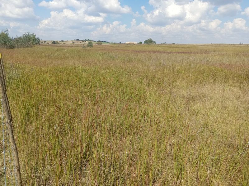 Farm available for sale at Bronkhorstspruit.  - Photo 4