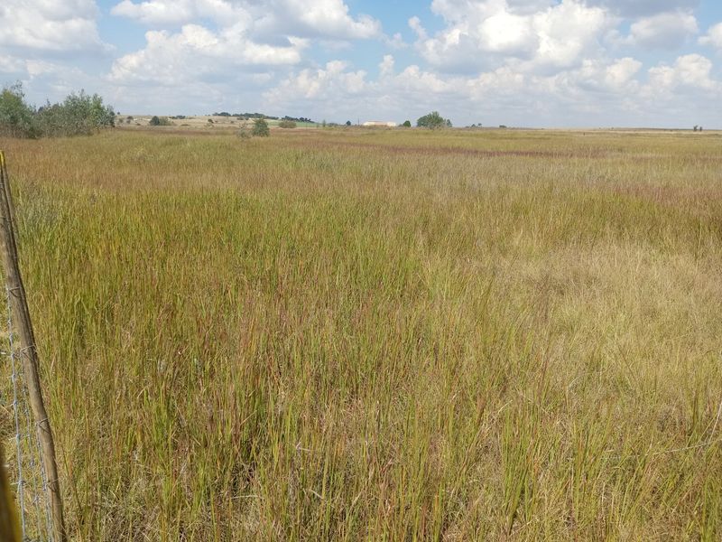 Farm available for sale at Bronkhorstspruit.  - Photo 1