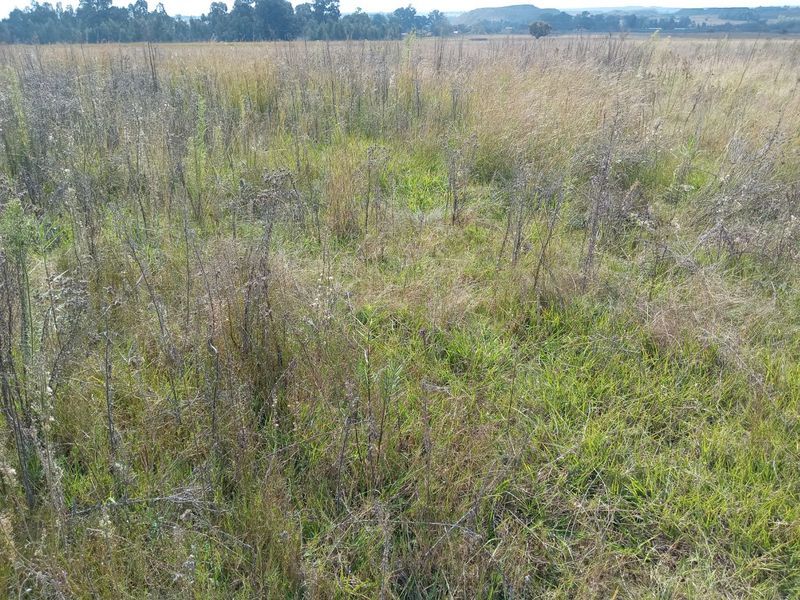 Farm available for sale at Bronkhorstspruit.  - Photo 10