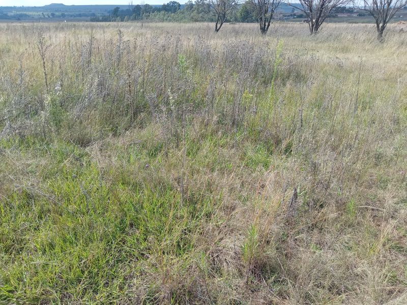 Farm available for sale at Bronkhorstspruit.  - Photo 9