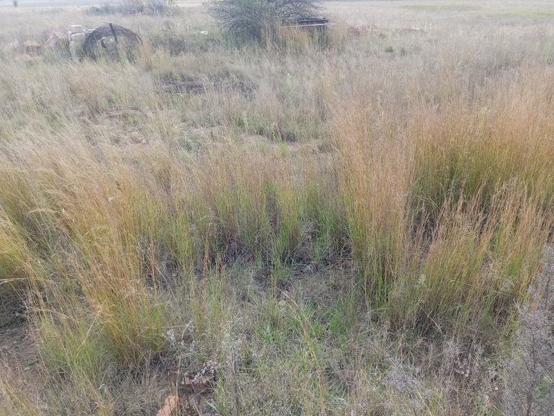Farm available for sale at Bronkhorstspruit.  - Photo 8