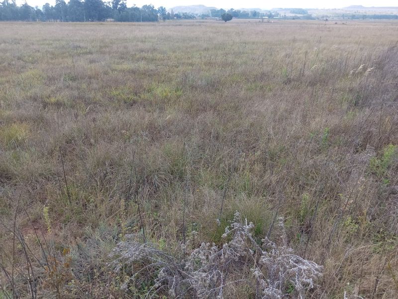 Farm available for sale at Bronkhorstspruit.  - Photo 6