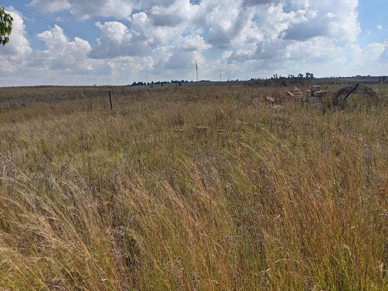 Farm available for sale at Bronkhorstspruit.  - Photo 7
