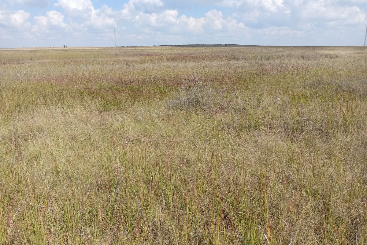 Farm available for sale at Bronkhorstspruit.  - Photo 2