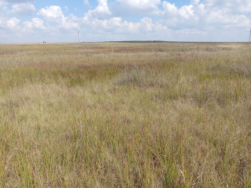 Farm available for sale at Bronkhorstspruit.  - Photo 2