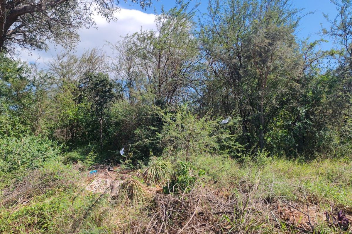 Vacant stand for sale, Mookgopong - Photo 2