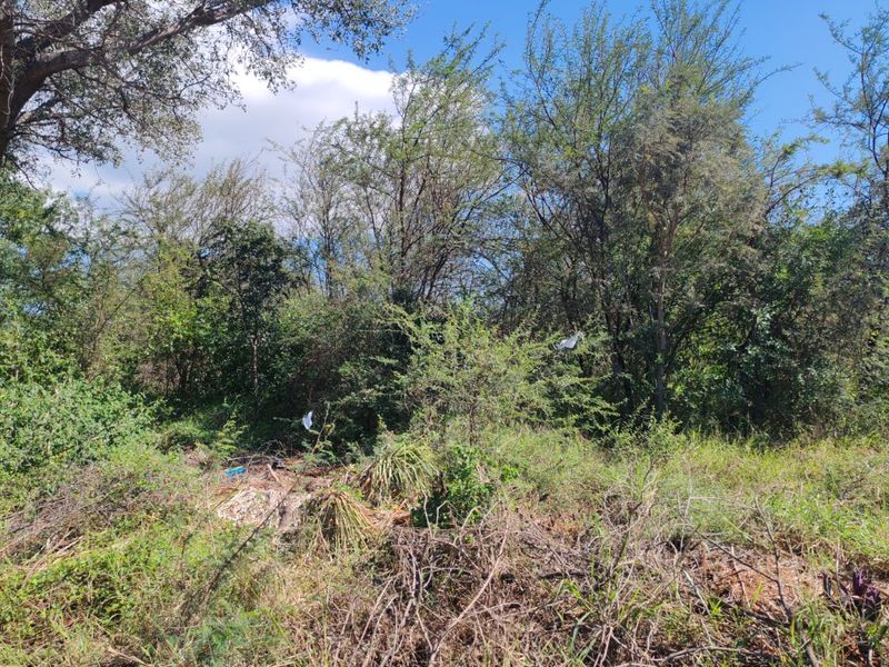 Vacant stand for sale, Mookgopong - Photo 2