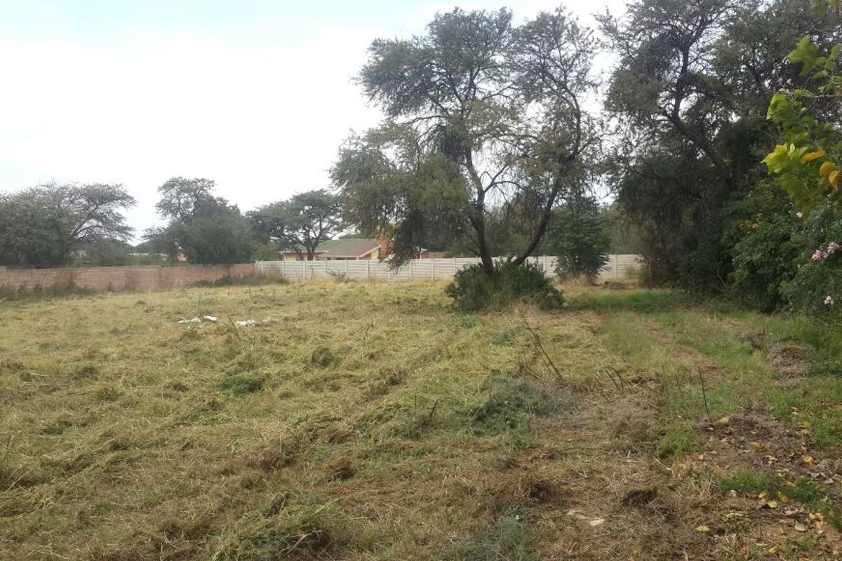 Stand for Sale - Photo 2