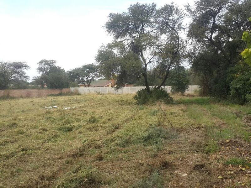 Stand for Sale - Photo 2