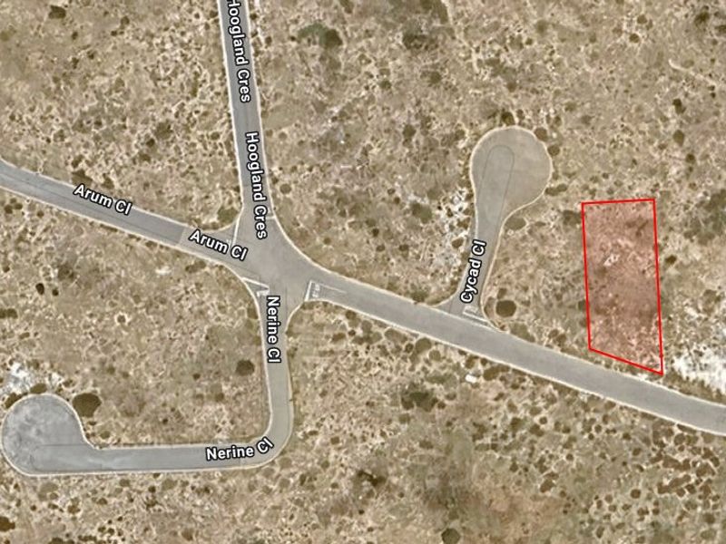 Aerial view of a vacant residential plot located near the intersection of Cycad Close and surrounding streets.