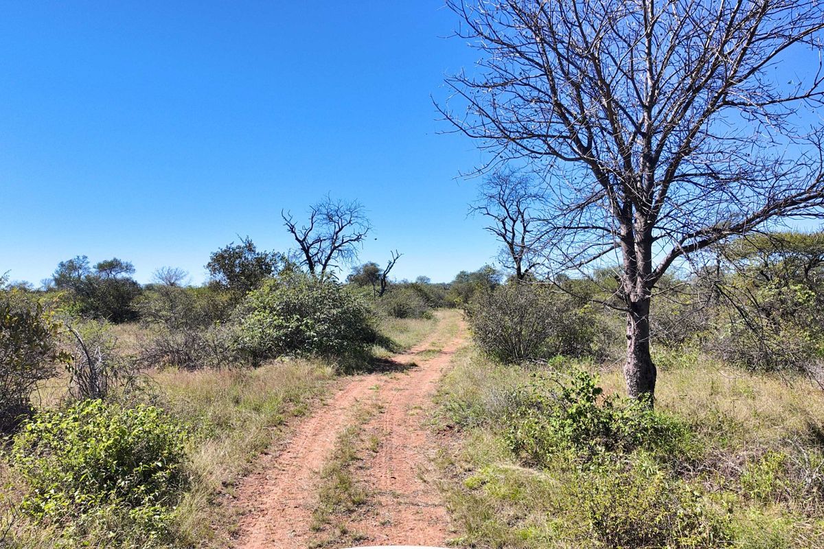 380 hectares game farm with THREE houses Ellisras - Photo 5