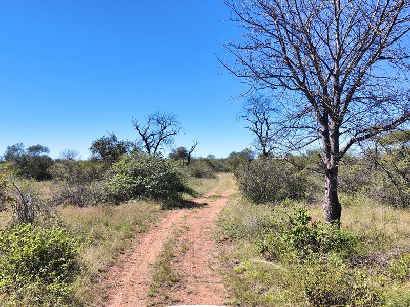 380 hectares game farm with THREE houses Ellisras - Photo 5