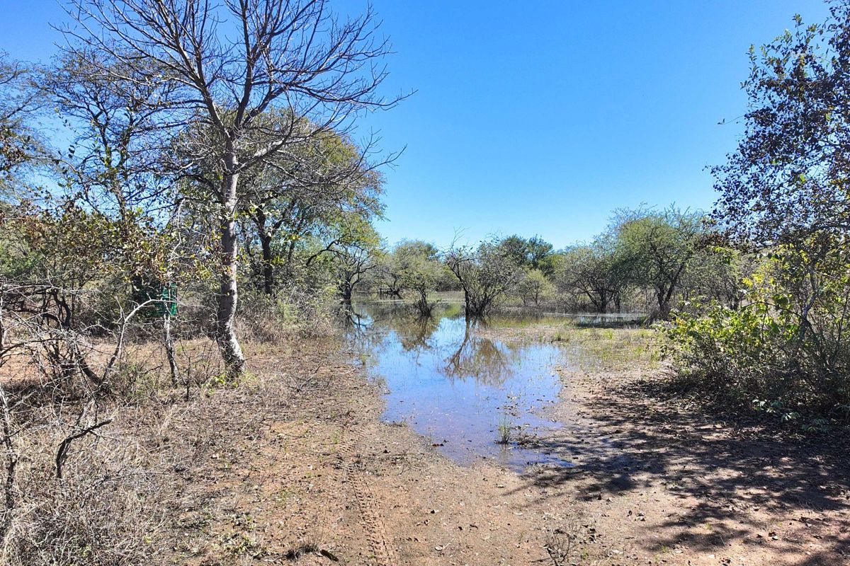 380 hectares game farm with THREE houses Ellisras - Photo 2