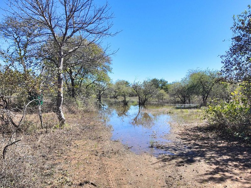 380 hectares game farm with THREE houses Ellisras - Photo 2