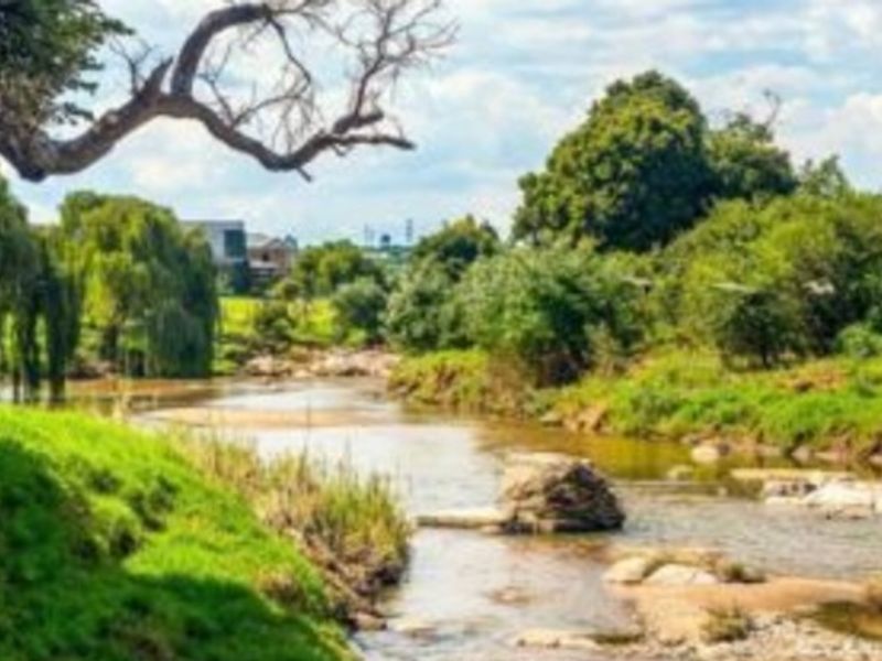A scenic view of a natural river flowing through a lush, green landscape with mature trees.