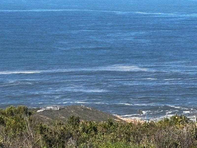 A scenic elevated view overlooking the ocean and coastal landscape.