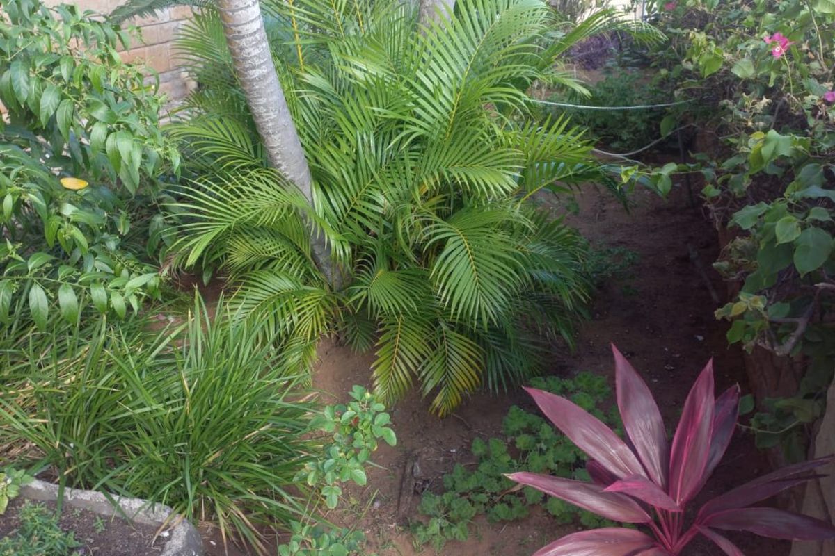 Morden Well Maintained Flat on North Beach Durban - Photo 2