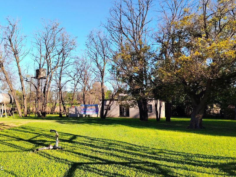 Established Riverfront Farm with Lawn Business, Flatlets & Water Rights - Photo 8
