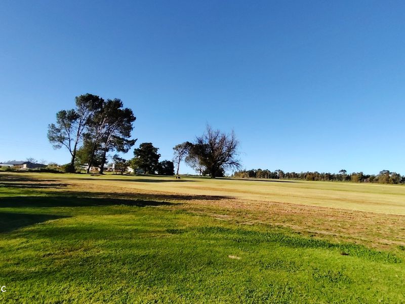 Established Riverfront Farm with Lawn Business, Flatlets & Water Rights - Photo 6