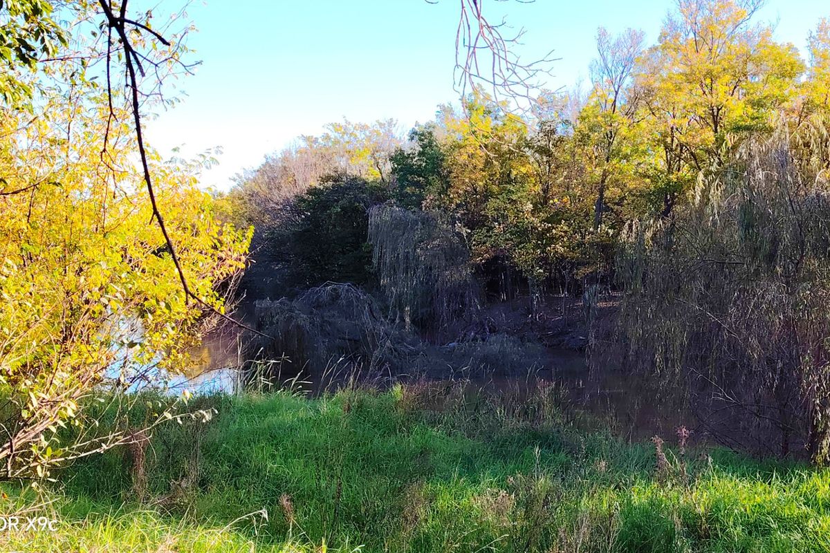 Established Riverfront Farm with Lawn Business, Flatlets & Water Rights - Photo 2