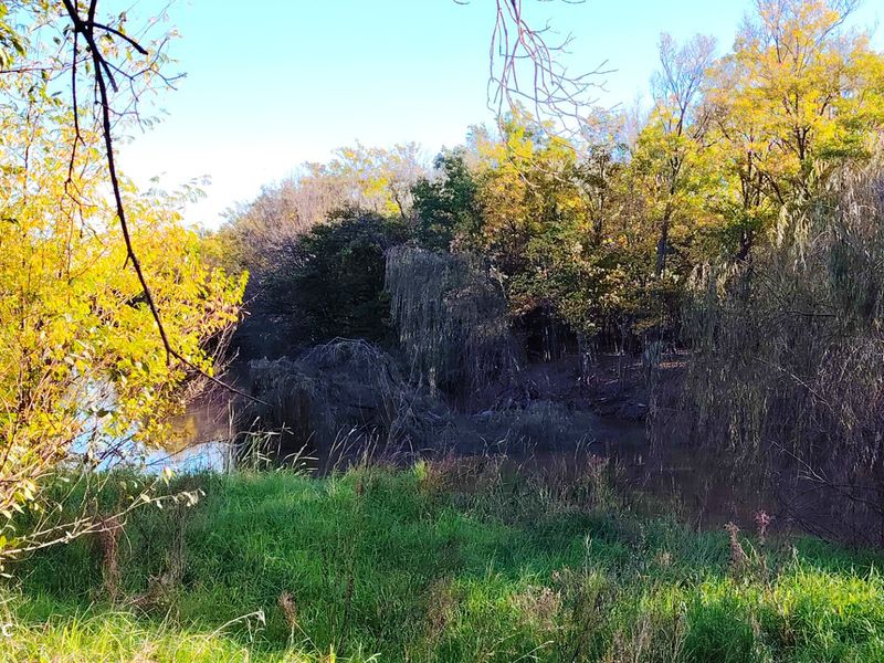 Established Riverfront Farm with Lawn Business, Flatlets & Water Rights - Photo 2