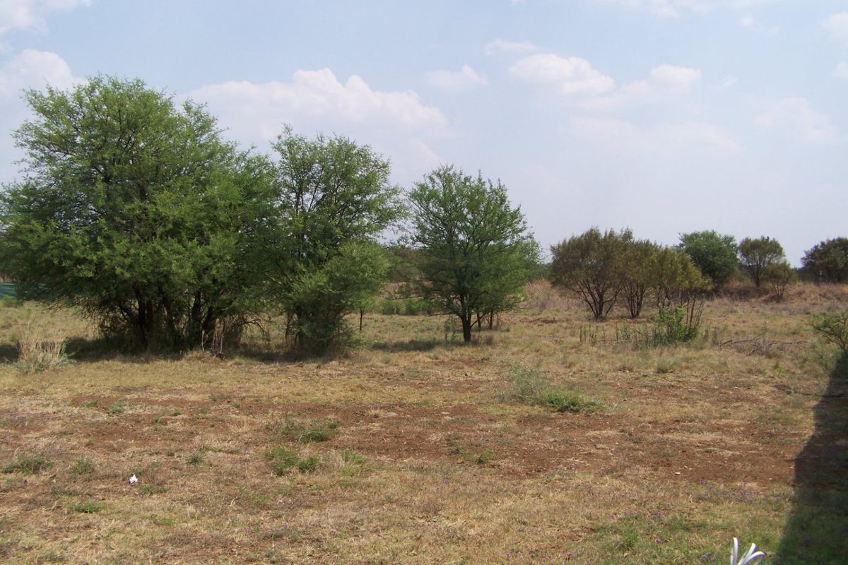 A view of a vacant residential plot featuring natural grass and established indigenous trees.
