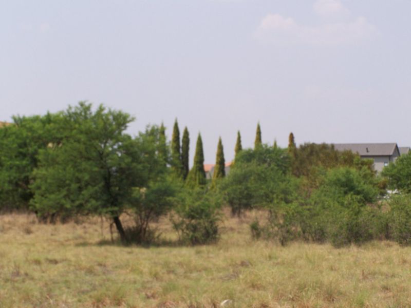 A view of a vacant residential plot featuring established trees and natural grassland vegetation.