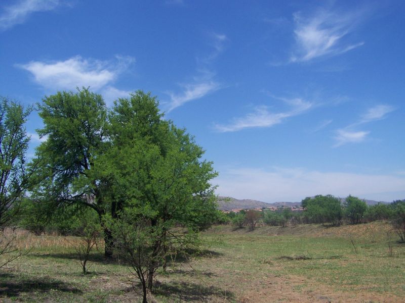 A view of the vacant residential land featuring natural vegetation and mature trees under a clear blue sky.