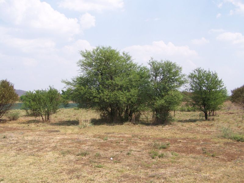 A view of a vacant residential plot featuring natural grassland and established native trees.