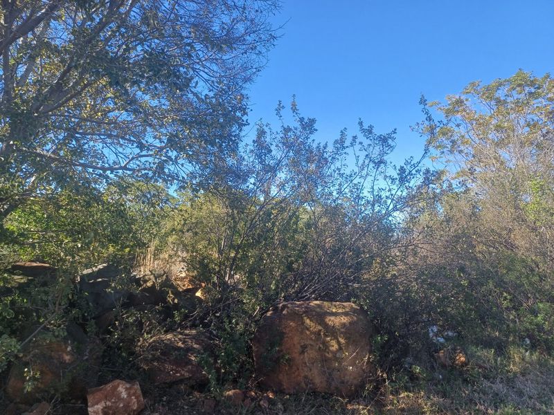 Build Your Waterfront Dream Escape in Beautiful Vaal Marina - Photo 1