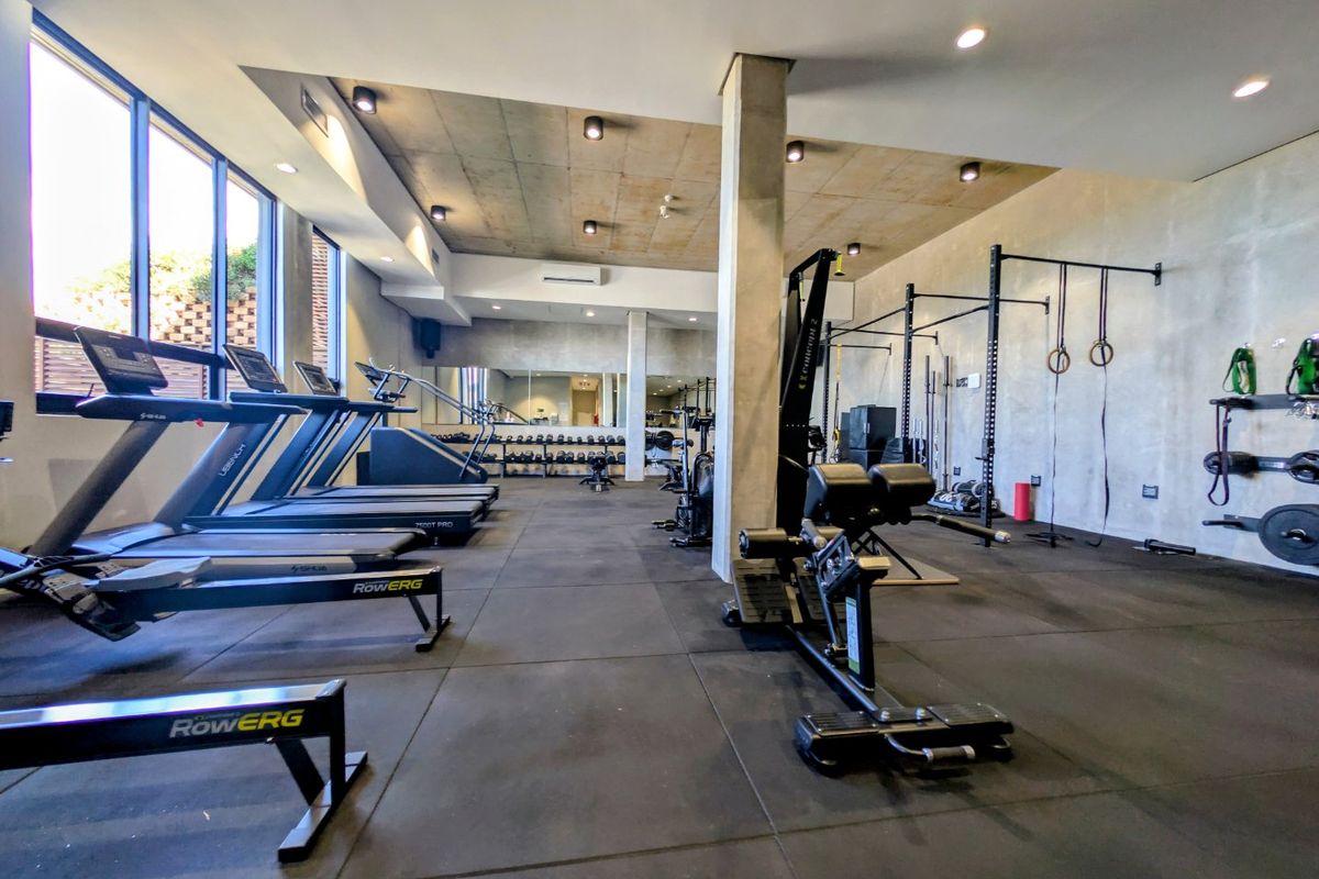 A modern, well-equipped gym featuring rubber flooring, exposed concrete ceilings, large windows for natural light, and wall-mounted mirrors.