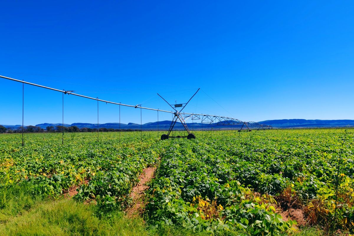 Expansive agricultural farmland featuring a large-scale center pivot irrigation system set against a scenic mountain backdrop.