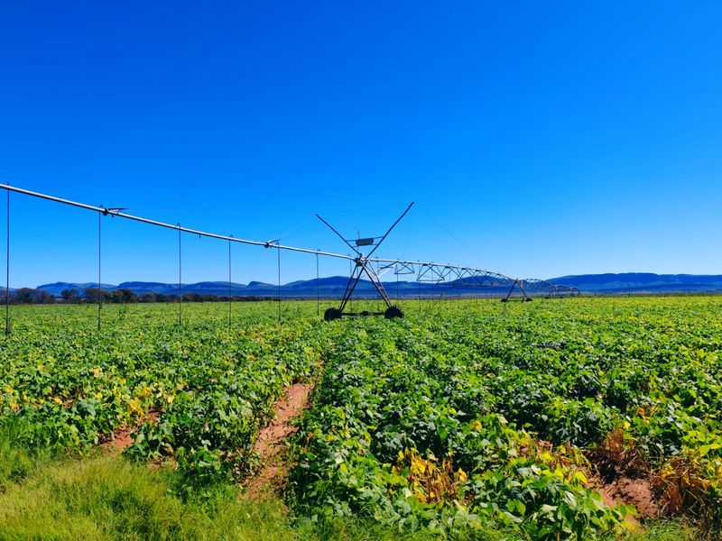 Expansive agricultural farmland featuring a large-scale center pivot irrigation system set against a scenic mountain backdrop.