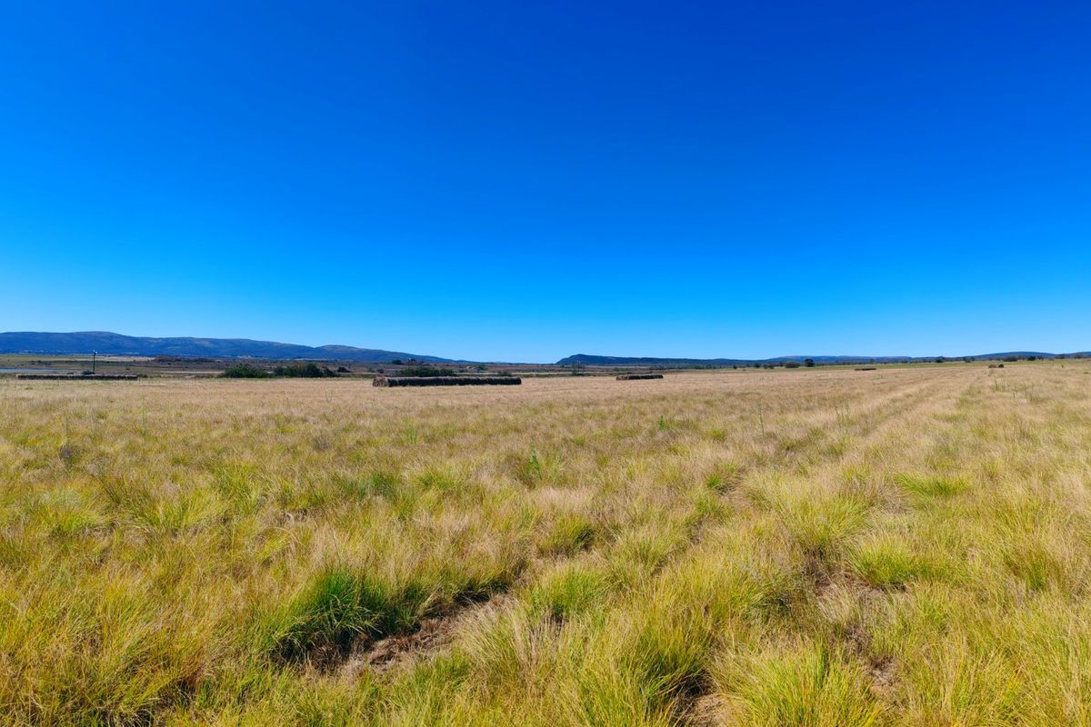 A wide-angle view of the expansive open farmland and natural landscape under a clear blue sky.