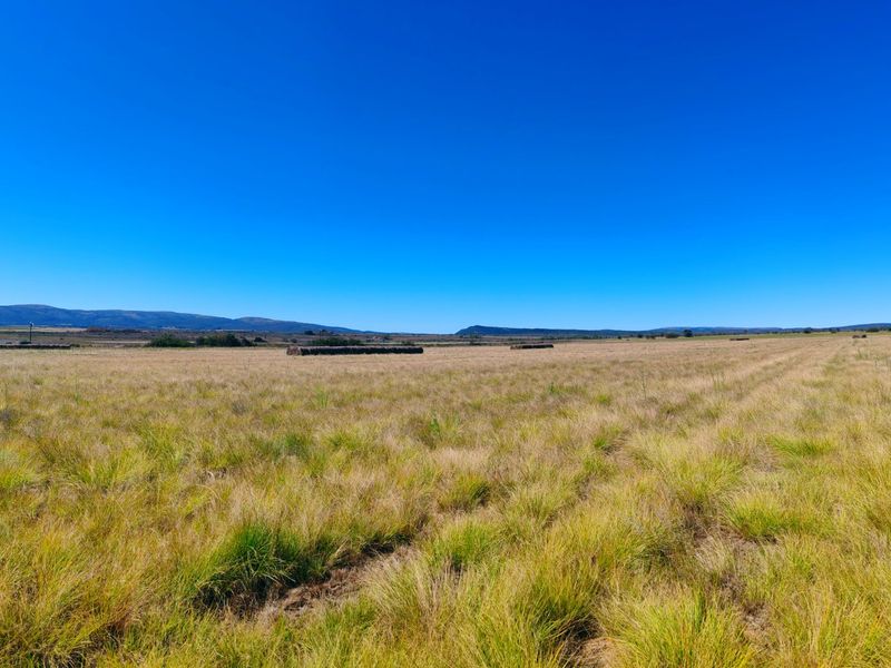 A wide-angle view of the expansive open farmland and natural landscape under a clear blue sky.
