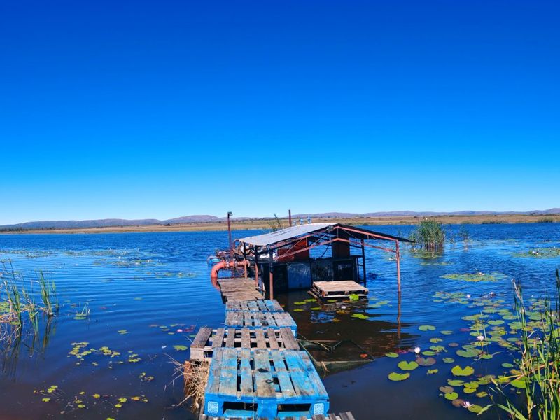 A panoramic view of a farm dam featuring a rustic water pump structure and a makeshift wooden pallet jetty extending into the water.