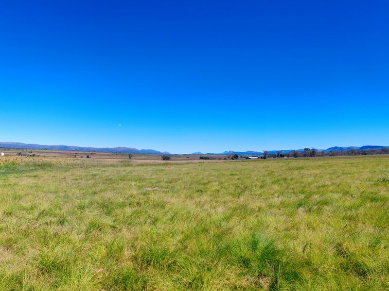 Expansive open farmland landscape featuring rolling green pastures and distant mountain views under a clear blue sky.