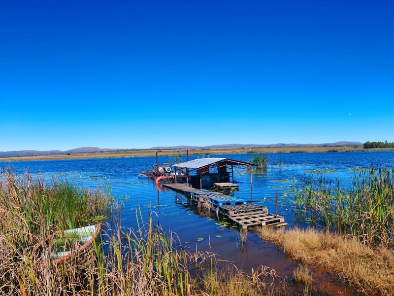 A scenic view of a farm dam featuring a rustic pump station and a weathered wooden jetty extending into the water.