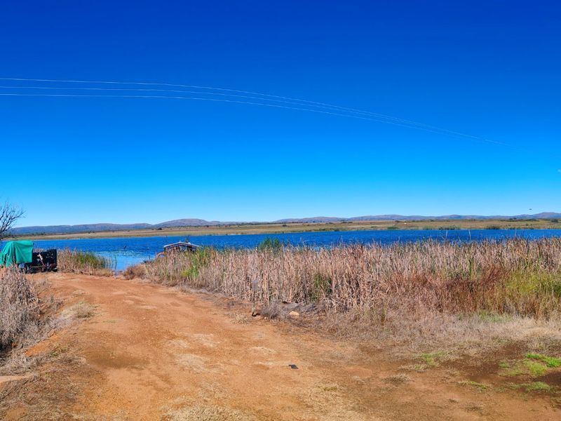 A scenic view of a natural dam or lake on the farm, featuring a dirt access road and surrounding landscape.