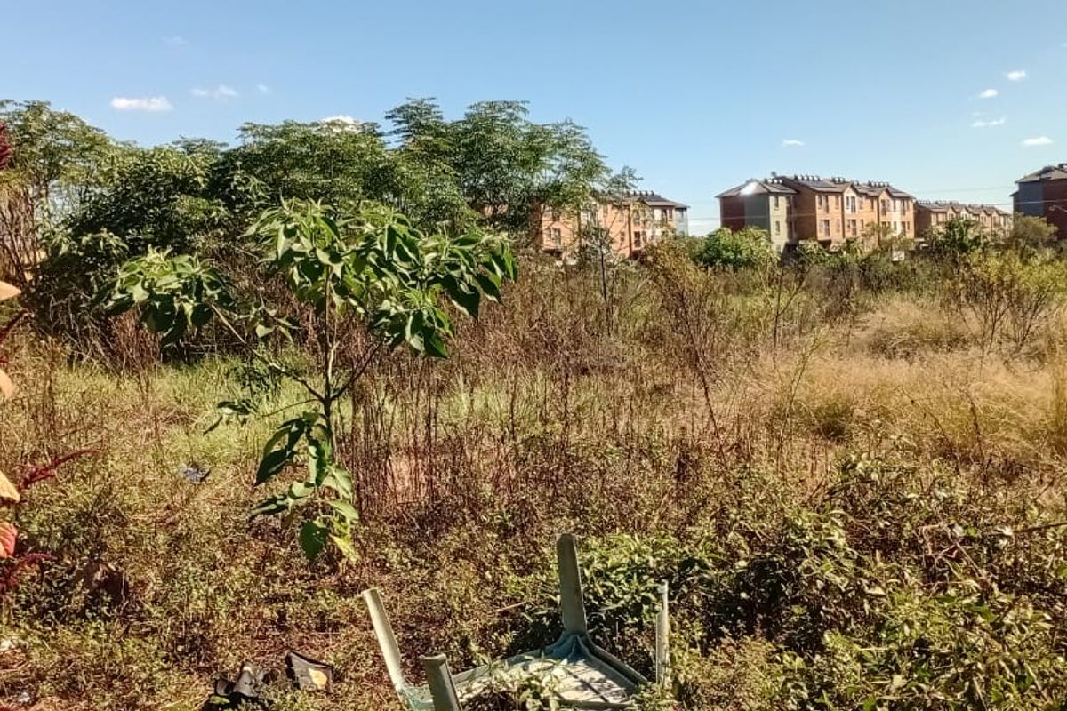 vacant land for sale at Montana Tuine next to Zambesi country estate - Photo 3
