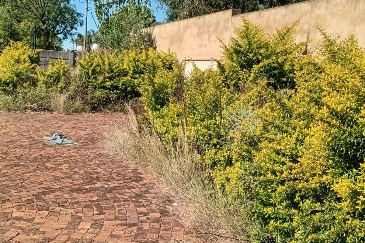 vacant land for sale at Montana Tuine next to Zambesi country estate - Photo 5